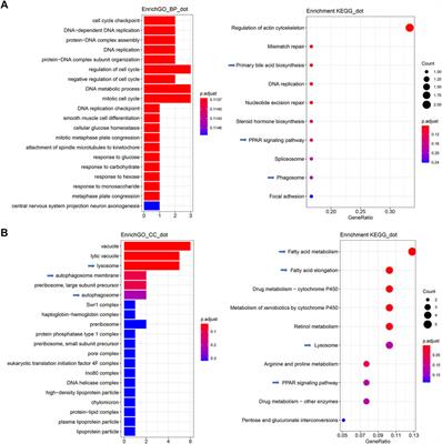 Dietary Inclusion of Seabuckthorn (Hippophae rhamnoides) Mitigates Foodborne Enteritis in Zebrafish Through the Gut-Liver Immune Axis
